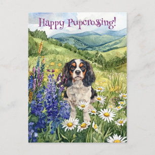 Cavalier King Charles Postcrossing - Briefkaart