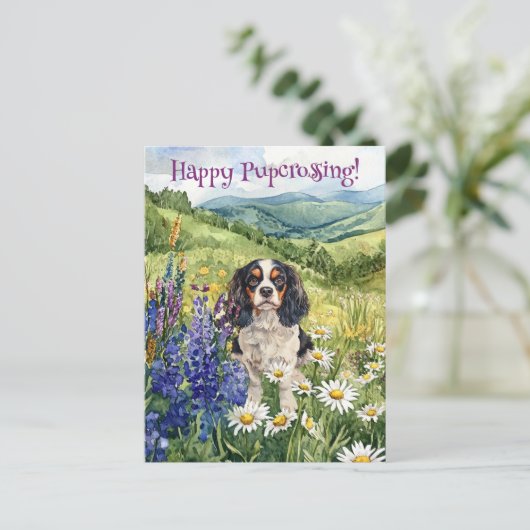 Cavalier King Charles Postcrossing - Briefkaart (Staand voorkant)