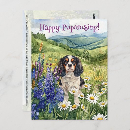 Cavalier King Charles Postcrossing - Briefkaart (Voorkant / Achterkant)