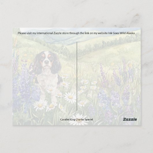Cavalier King Charles Postcrossing - Briefkaart (Achterkant)