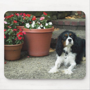 Cavalier King Charles Puppy Dog met bloemen Muismat