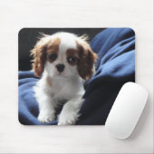 Cavalier King Charles puppy mousepad Muismat (Met muis)