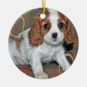 Cavalier King Charles Puppy Ornament (Voorkant)