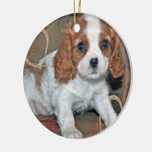 Cavalier King Charles Puppy Ornament (Links)