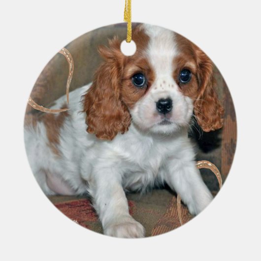 Cavalier King Charles Puppy Ornament (Achterkant)