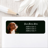 Cavalier King Charles Puppy Retouradres Label (Insitu)