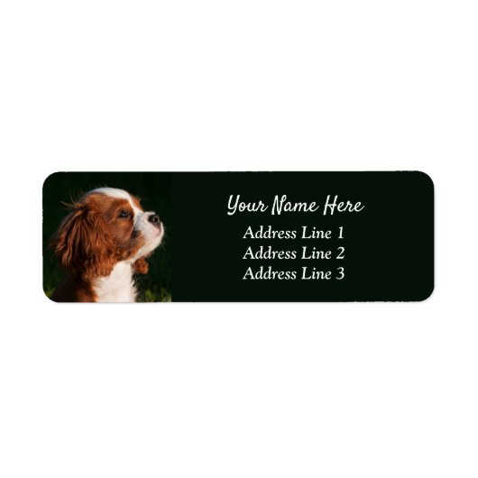 Cavalier King Charles Puppy Retouradres Label (Voorkant)