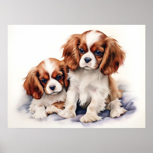 Cavalier King Charles Pups Poster (Voorkant)
