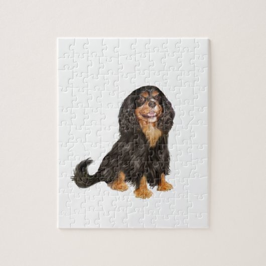 Cavalier King Charles (R) - Black en tan.png Legpuzzel (Verticaal)