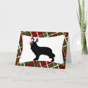 Cavalier King Charles Reindeer Christmas Kaart
