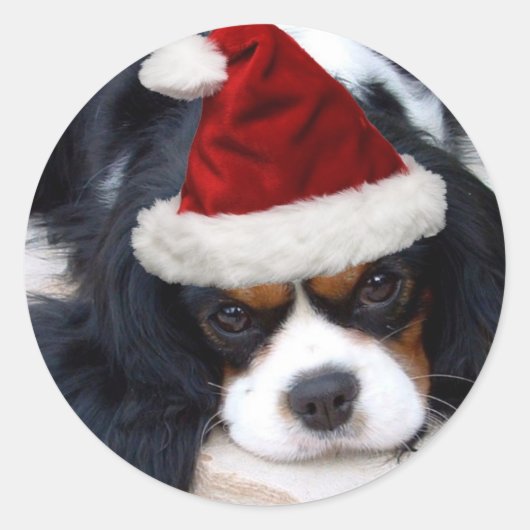 Cavalier King Charles Ronde Sticker (Voorkant)