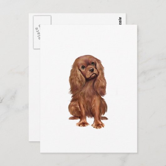 Cavalier King Charles - Ruby Briefkaart (Voorkant / Achterkant)