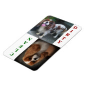 Cavalier King Charles Scarlet Vaatwasser Magneet (Linkerzijde)