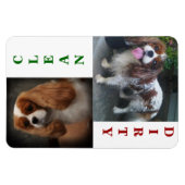 Cavalier King Charles Scarlet Vaatwasser Magneet (Horizontaal)