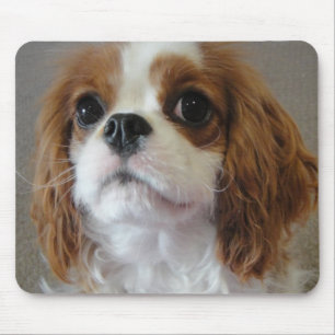 Cavalier King Charles schattige puppy mousepad Muismat
