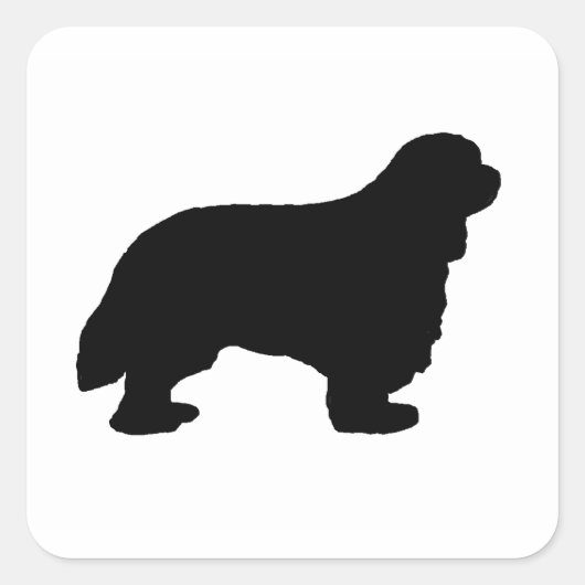 Cavalier King Charles silo zwart Vierkante Sticker (Voorkant)
