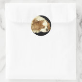 CAVALIER KING CHARLES SLAPEN RONDE STICKER (Tas)