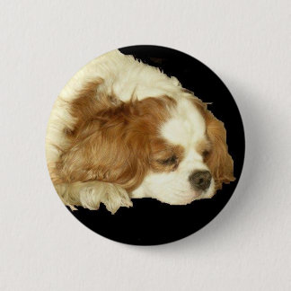 CAVALIER KING CHARLES SLEEPING RONDE BUTTON 5,7 CM