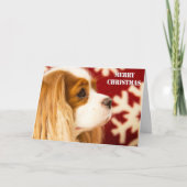 Cavalier King Charles Sneeuwvlok Kerstkaart Feestdagen Kaart (Voorkant)