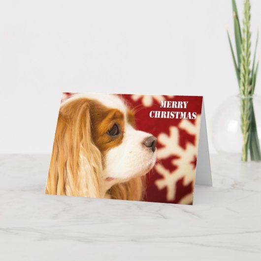 Cavalier King Charles Sneeuwvlok Kerstkaart Feestdagen Kaart (Voorkant)