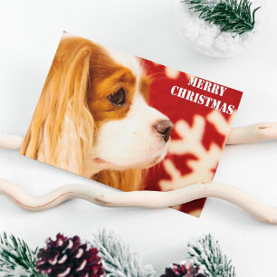 Cavalier King Charles Sneeuwvlok Kerstmis Feestdagenkaart