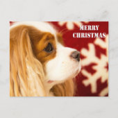 Cavalier King Charles Snowflake kerst Feestdagenkaart (Voorkant)