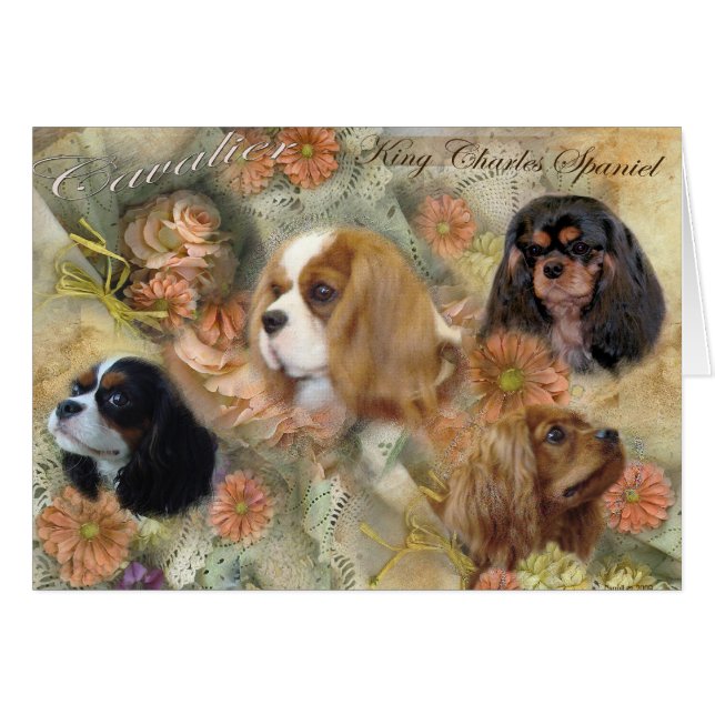 Cavalier King Charles Spaniel (Voorkant Horizontaal)