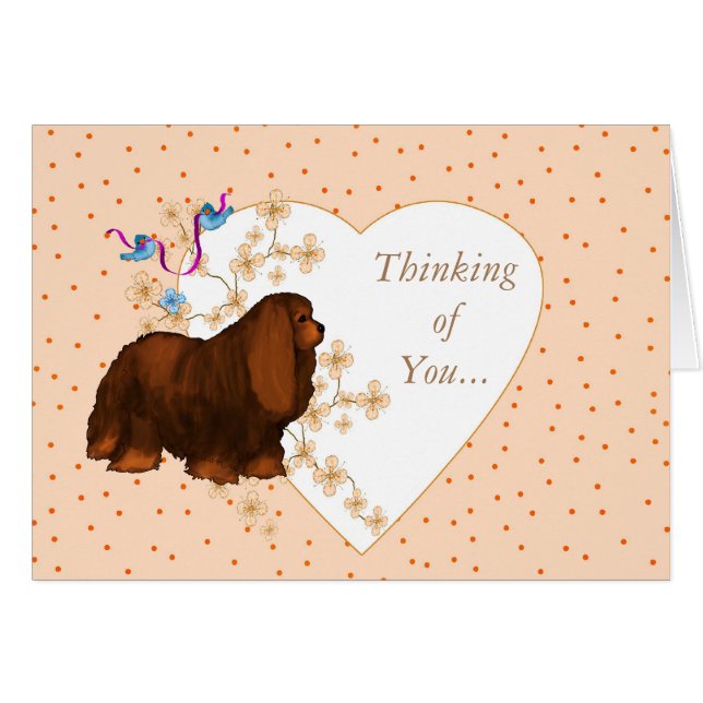 Cavalier King Charles Spaniel (Voorkant Horizontaal)