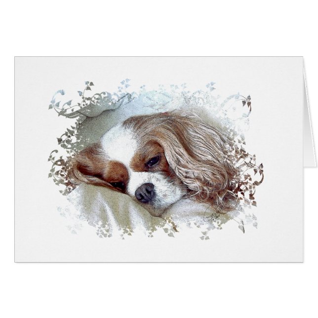 Cavalier King Charles Spaniel (Voorkant Horizontaal)