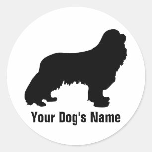 Cavalier King Charles Spaniel キ バ リ ア Ronde Sticker