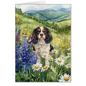 Cavalier King Charles Spaniel - 5" x 7" Kunstkaart (Voorkant)