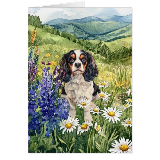 Cavalier King Charles Spaniel - 5" x 7" Kunstkaart (Voorkant)