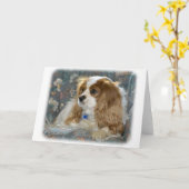 Cavalier King Charles Spaniel 8R16D-01 Kaart (Gele Bloem)