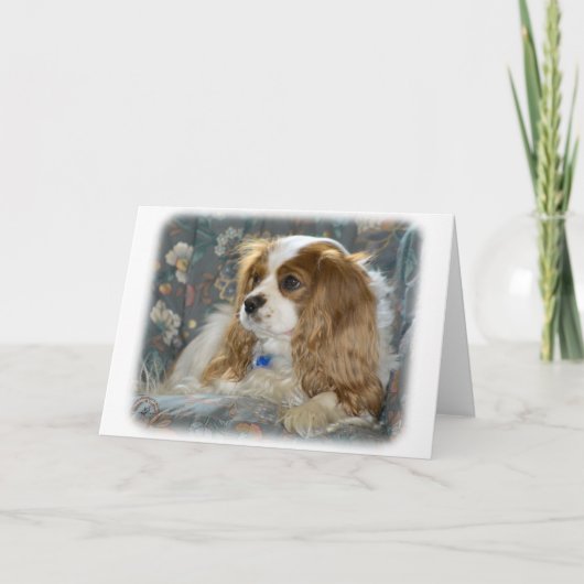Cavalier King Charles Spaniel 8R16D-01 Kaart (Voorkant)