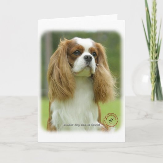 Cavalier King Charles Spaniel 9F097D-08 Kaart (Voorkant)