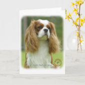 Cavalier King Charles Spaniel 9F097D-08 Kaart (Gele Bloem)