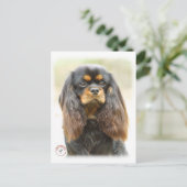 Cavalier King Charles Spaniel 9F51D-03 Briefkaart (Staand voorkant)