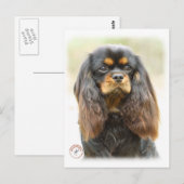 Cavalier King Charles Spaniel 9F51D-03 Briefkaart (Voorkant / Achterkant)