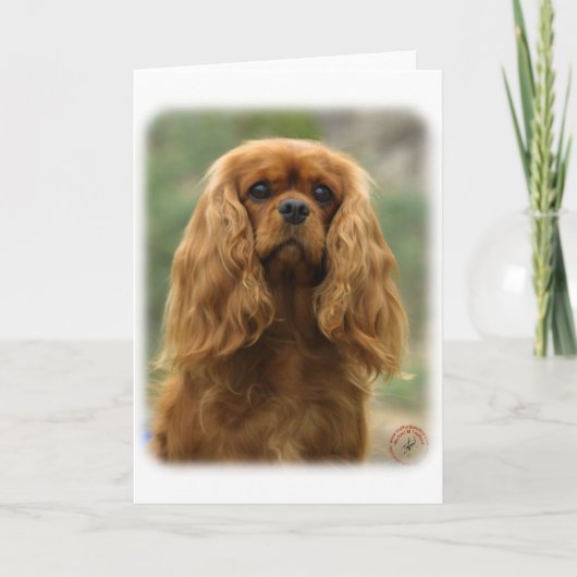 Cavalier King Charles Spaniel 9F51D-10 Kaart (Voorkant)