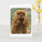 Cavalier King Charles Spaniel 9F51D-10 Kaart (Gele Bloem)