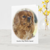 Cavalier King Charles Spaniel 9K27D-17 Kaart (Gele Bloem)