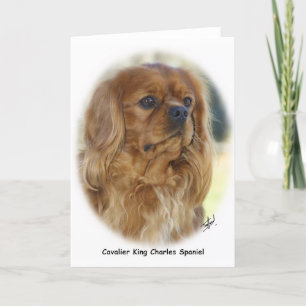 Cavalier King Charles Spaniel 9K27D-17 Kaart