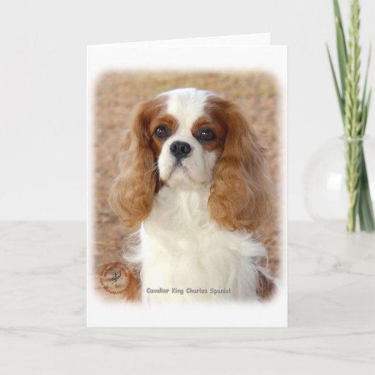 Cavalier King Charles Spaniel 9L005D-08 Kaart (Voorkant)