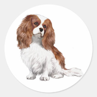 Cavalier King Charles Spaniel (A) - Blenheim 1 Ronde Sticker