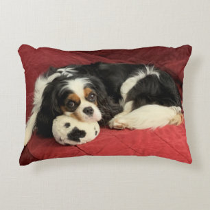 Cavalier King Charles Spaniel Accent Pillow Accent Kussen