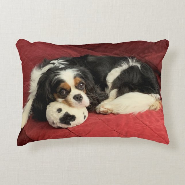Cavalier King Charles Spaniel Accent Pillow Accent Kussen (Voorkant)