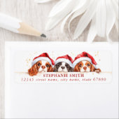 Cavalier King Charles Spaniel Adresetiketten Etiket (Insitu)