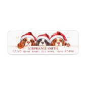 Cavalier King Charles Spaniel Adresetiketten Etiket (Voorkant)