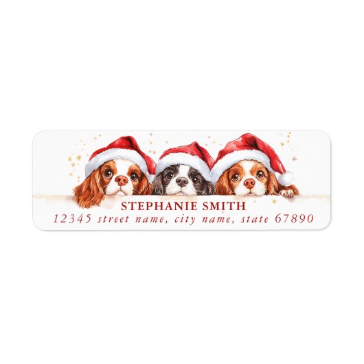Cavalier King Charles Spaniel Adresetiketten Etiket (Voorkant)