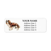 Cavalier King Charles Spaniel Adresetiketten Etiket (Voorkant)